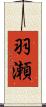 羽瀬 Scroll