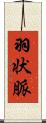 羽状脈 Scroll