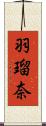 羽瑠奈 Scroll