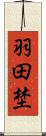 羽田埜 Scroll