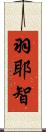 羽耶智 Scroll