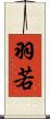 羽若 Scroll