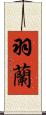 羽蘭 Scroll