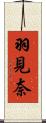 羽見奈 Scroll