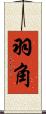 羽角 Scroll