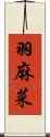 羽麻菜 Scroll