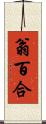 翁百合 Scroll