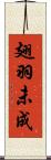 翅羽未成 Scroll