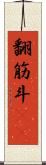 翻筋斗(rK) Scroll