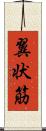 翼状筋 Scroll