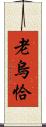 老烏恰 Scroll