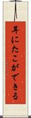耳にたこができる Scroll