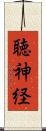 聴神経 Scroll