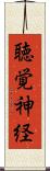 聴覚神経 Scroll