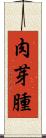 肉芽腫 Scroll