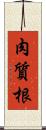 肉質根 Scroll