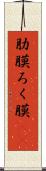 肋膜 Scroll