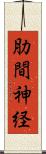 肋間神経 Scroll