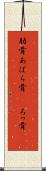 肋骨 Scroll