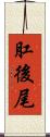 肛後尾 Scroll