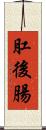 肛後腸 Scroll