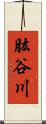 肱谷川 Scroll