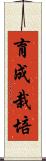 育成栽培 Scroll