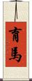 育馬 Scroll