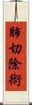 肺切除術 Scroll
