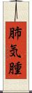 肺気腫 Scroll