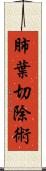 肺葉切除術 Scroll