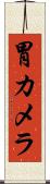 胃カメラ Scroll