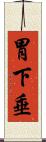 胃下垂 Scroll