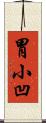胃小凹 Scroll