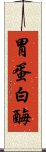 胃蛋白酶 Scroll