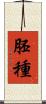 胚種 Scroll