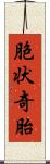 胞状奇胎 Scroll