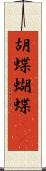 胡蝶 Scroll