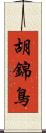 胡錦鳥 Scroll