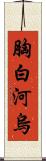 胸白河烏 Scroll