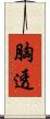 胸透 Scroll