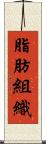 脂肪組織 Scroll