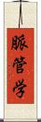 脈管学 Scroll