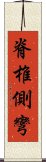 脊椎側彎 Scroll