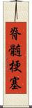 脊髄梗塞 Scroll