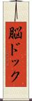 脳ドック Scroll