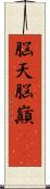 脳天 Scroll