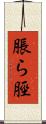 脹ら脛 Scroll