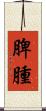 脾腫 Scroll
