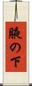 腋の下 Scroll